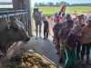 IMG-20250617-WA0022