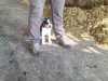 IMG-20250617-WA0023