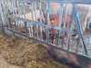 IMG-20250617-WA0029