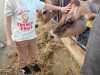 IMG-20250617-WA0034