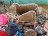 IMG-20250617-WA0046