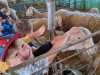 IMG-20250617-WA0049