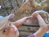 IMG-20250617-WA0050