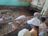 IMG-20250617-WA0052