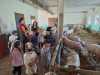 IMG-20250617-WA0053