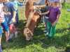 IMG-20250617-WA0055