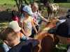 IMG-20250617-WA0056