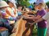 IMG-20250617-WA0058