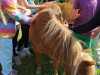 IMG-20250617-WA0059