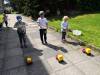 IMG_20210601_104623-Copy