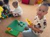 IMG-20260512-WA0001