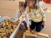 IMG-20260512-WA0005
