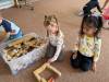 IMG-20260512-WA0013