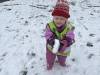 IMG_1548-Copy