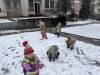 IMG_1549-Copy