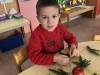 IMG_3213-Copy