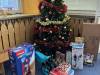 IMG_5322-Copy