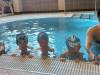 20230411_094742-Copy