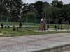 IMG_20220609_101745-Copy