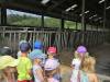 IMG_20210621_094533-Copy