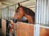IMG_20210621_102437-Copy