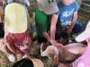 IMG_20210621_102717-Copy