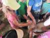 IMG_20210621_102722-Copy