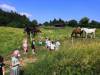 IMG_20210621_104346-Copy
