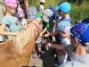 IMG_20210621_104903-Copy