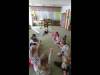 DSC04135-Copy