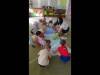 DSC04145-Copy