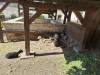 IMG-20240612-WA0135