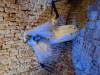IMG-20240612-WA0142