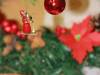 IMG_8287-Copy