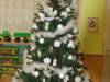 IMG_8293-Copy