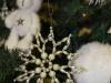 IMG_8301-Copy