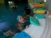 101_1496-Copy