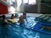 101_1498-Copy