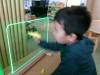 101_1271-Copy