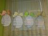 101_1445-Copy
