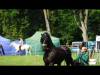 DSC09778-Copy
