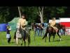 DSC09792-Copy