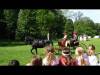 DSC09796-Copy