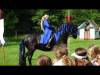 DSC09797-Copy