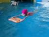 101_1355-Copy