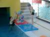 101_1361-Copy