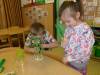101_1455-Copy