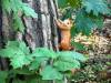 FB_IMG_1790507295786-Copy