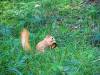FB_IMG_1790507301758-Copy