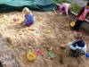 IMG_20260910_104926-Copy